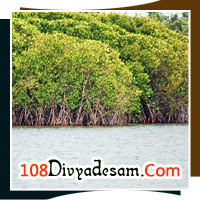 kerala divya desam tour operators